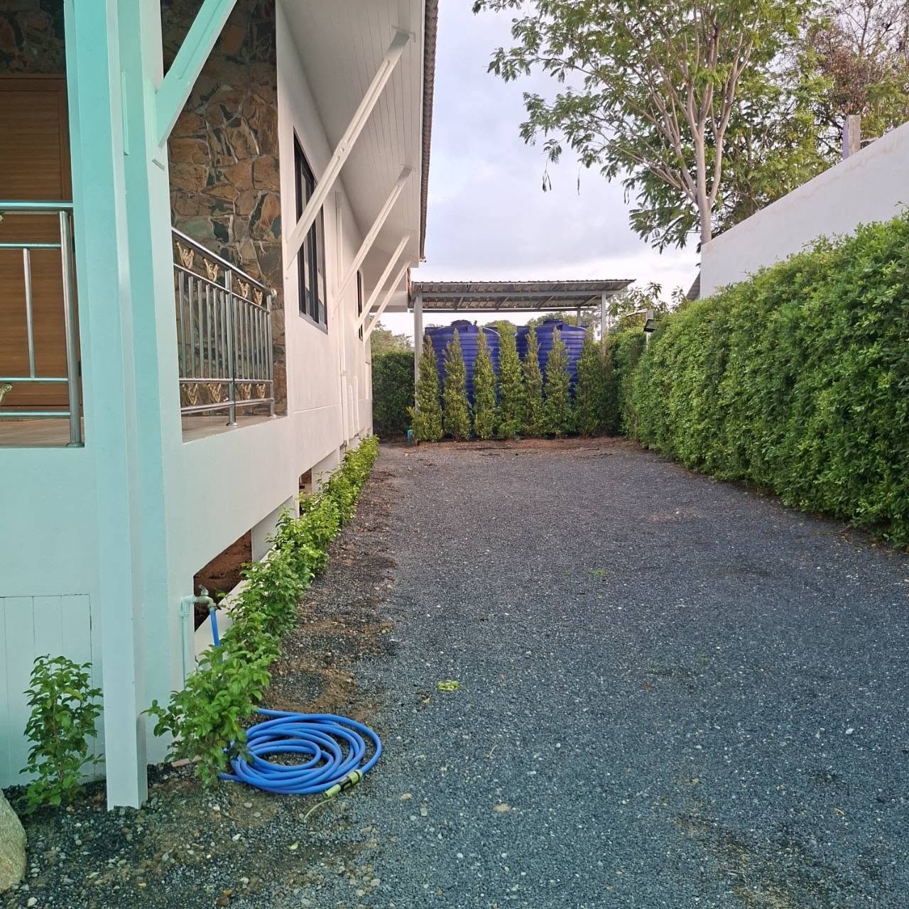Side yard gravel path with privacy hedge beside the white villa